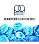 Ароматизатор TPA/TFA - Blueberry Candy (PG) (Черничная Конфета), 100 мл