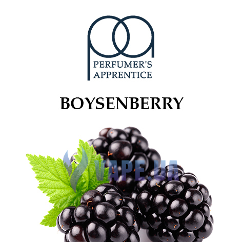 Ароматизатор TPA/TFA - Boysenberry Flavor * (Шелковица), 5 мл.