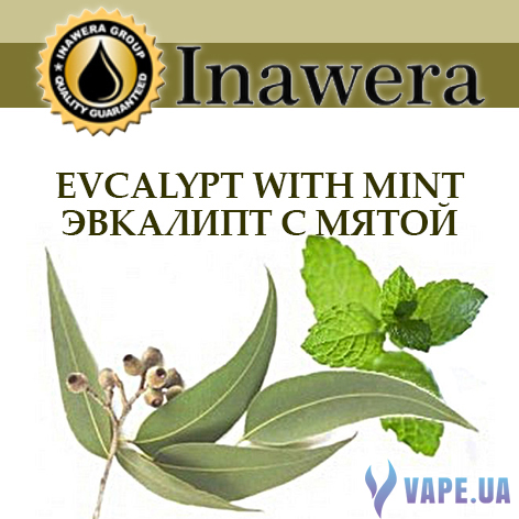 Ароматизатор Inawera Evcalypt With Mint (Эвкалипт С Мятой), 5 мл.