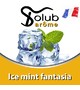 Ароматизатор Solub Arome - Ice mint fantasia (Мята, ментол и куллер), 5 мл.