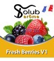 Ароматизатор Solub Arome - Fresh Berries V1 (Чернично смородиновый микс с дополнением мяты и ментола), 10 мл.