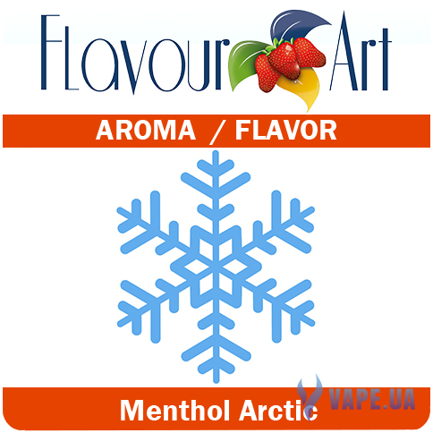 Ароматизатор FlavourArt Menthol Arctic (Ментол), 50 мл.