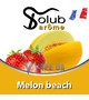 Ароматизатор Solub Arome - Melon Beach (Микс дыни с клубникой), 50 мл.