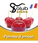 Ароматизатор Solub Arome - Poir Martinale (Dкус груши с нотками ванили и кокоса), 50 мл.