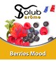 Ароматизатор Solub Arome - Berries Mood (Микс холодного лимона и смородины с клубникой и мятой), 100 мл.