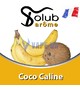 Ароматизатор Solub Arome - Coco Caline (Кокос, ваниль, банан и ром), 100 мл.