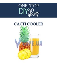 One Stop DIY Cacti Cooler (Апельсиново-ананасовый напиток), 120 мл.