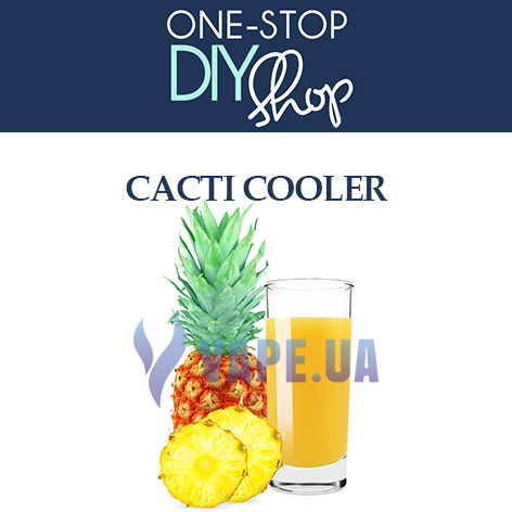 Ароматизатор One Stop DIY Cacti Cooler (Апельсиново-ананасовый напиток), 120 мл.