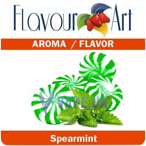 Ароматизатор FlavourArt Spearmint (Пречная мята), 100 мл.