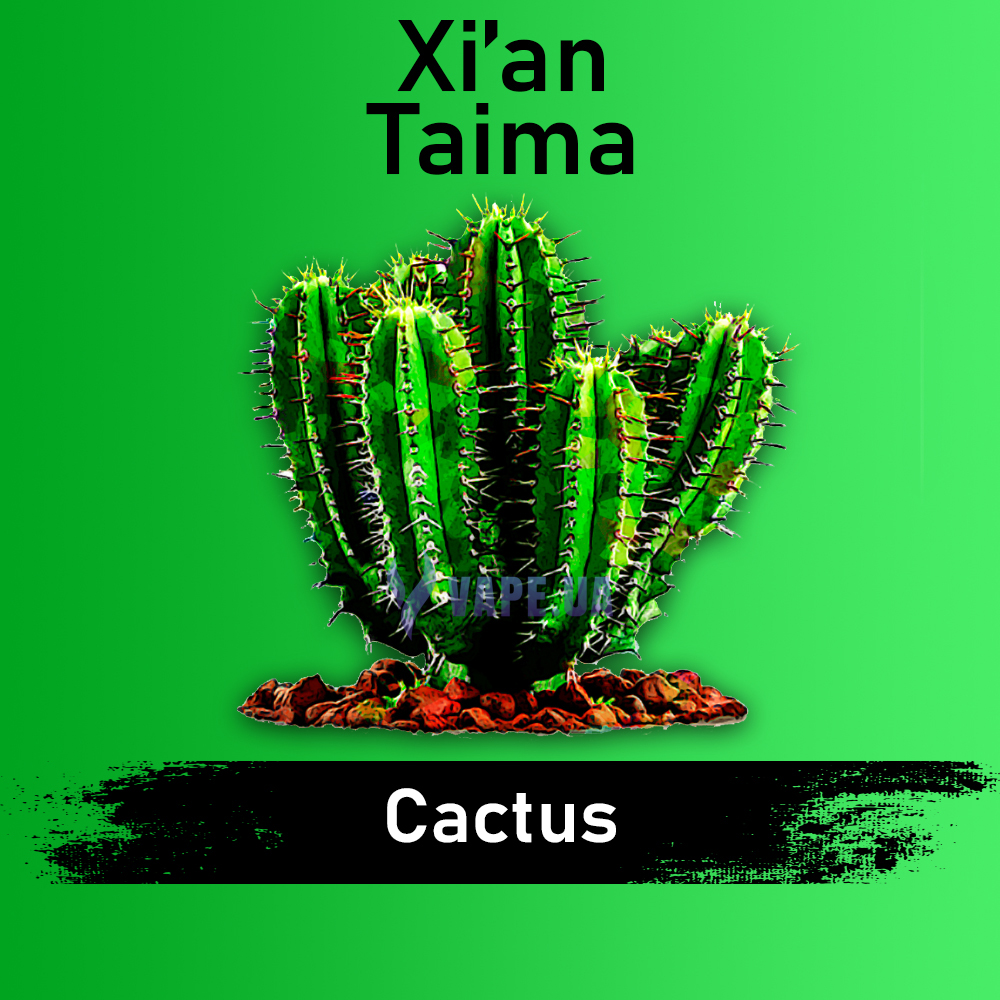 Ароматизатор Xian Cactus (Кактус), 10 мл.