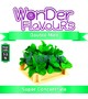 Ароматизатор Wonder Flavours (SC) - Double Mint (Двойная мята), 5 мл.