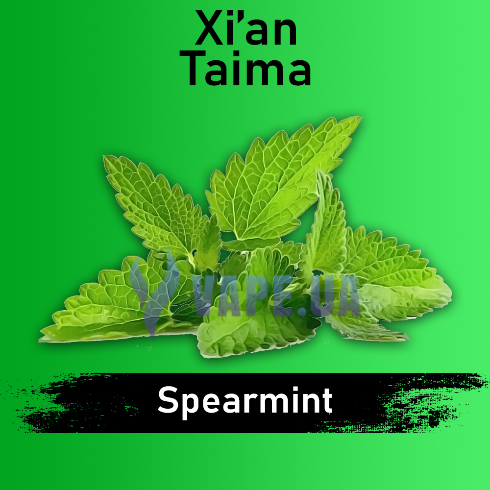 Ароматизатор Xian Spearmint (Перечнкая мята), 100 мл.