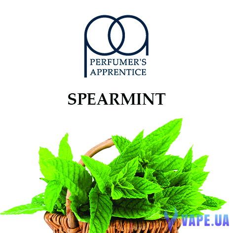 Ароматизатор TPA/TFA - Spearmint (Мята), 5 мл